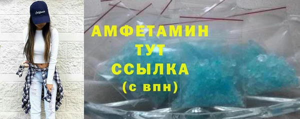 индика Козловка
