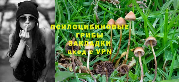 мет Касимов