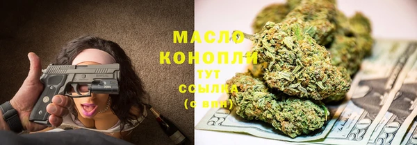 индика Козловка