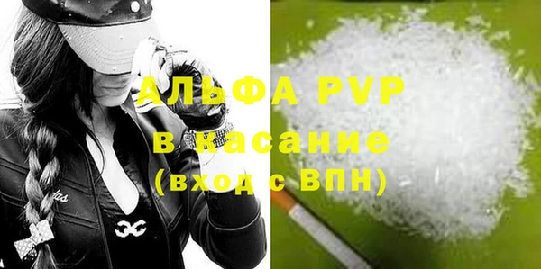 индика Козловка