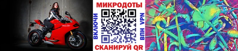 Псилоцибиновые грибы ЛСД наркошоп Лебедянь